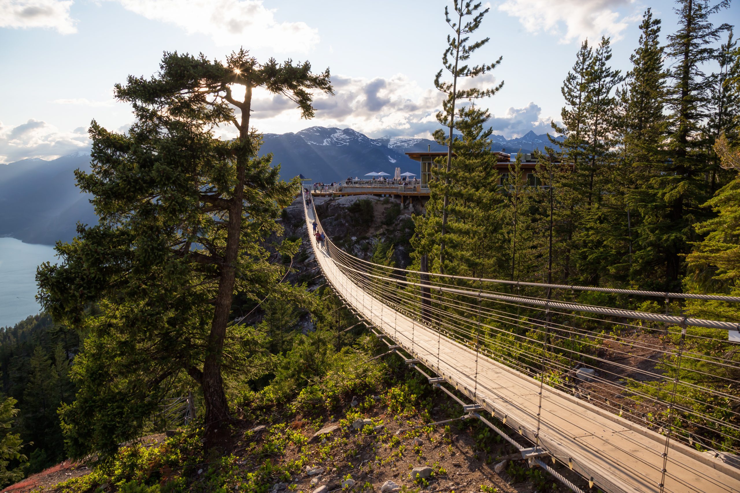 Suspension Bridge on Top of a Mountain in Squamish